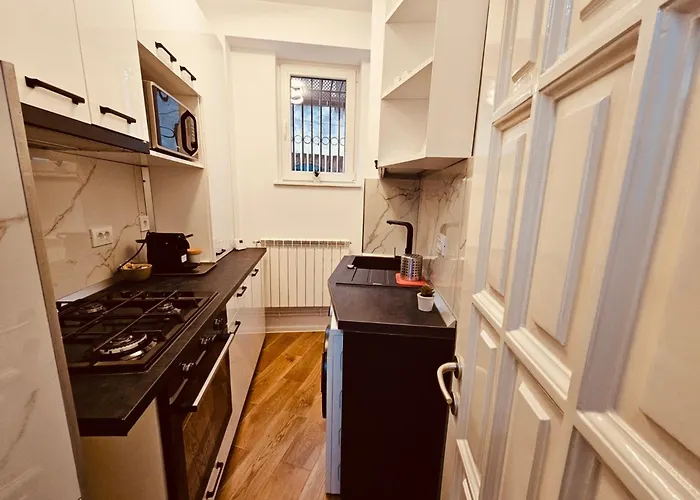Apartment Shiro Cotroceni Bucharest